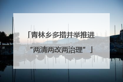 青林乡多措并举推进“两清两改两治理”