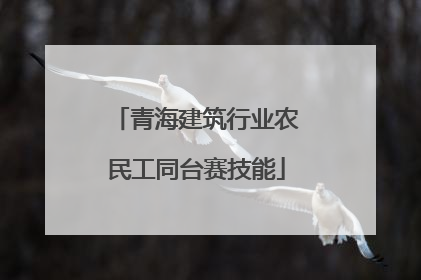 青海建筑行业农民工同台赛技能