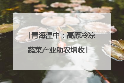 青海湟中：高原冷凉蔬菜产业助农增收