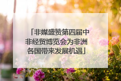 非媒盛赞第四届中非经贸博览会为非洲各国带来发展机遇