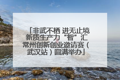 非武不栖 进无止境 新质生产力“智”汇常州创新创业邀请赛（武汉站）圆满举办