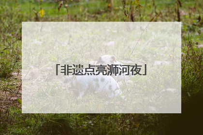 非遗点亮浉河夜
