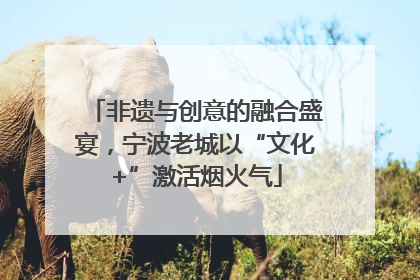 非遗与创意的融合盛宴，宁波老城以“文化+”激活烟火气
