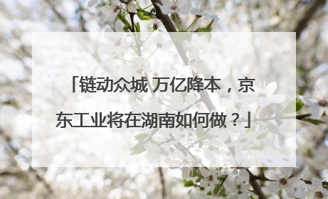 链动众城 万亿降本，京东工业将在湖南如何做？