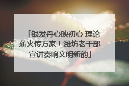银发丹心映初心 理论薪火传万家！潍坊老干部宣讲奏响文明新韵