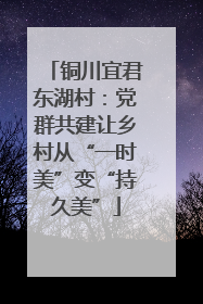 铜川宜君东湖村：党群共建让乡村从“一时美”变“持久美”
