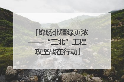 锦绣北疆绿更浓——“三北”工程攻坚战在行动