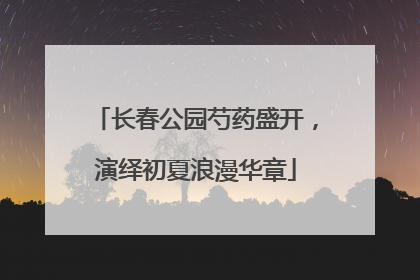 长春公园芍药盛开，演绎初夏浪漫华章