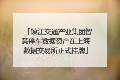 镇江交通产业集团智慧停车数据资产在上海数据交易所正式挂牌