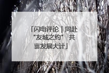 闪电评论｜同赴“友城之约” 共襄发展大计