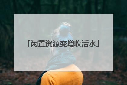 闲置资源变增收活水