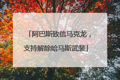阿巴斯致信马克龙，支持解除哈马斯武装