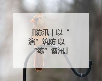 防汛｜以“演”筑防 以“练”备汛