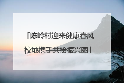 陈岭村迎来健康春风 校地携手共绘振兴图
