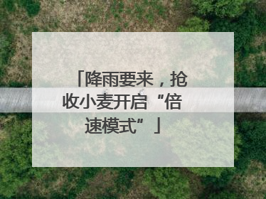 降雨要来，抢收小麦开启“倍速模式”