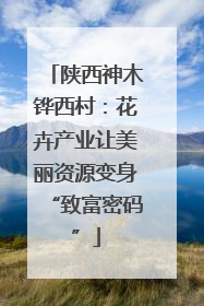 陕西神木铧西村：花卉产业让美丽资源变身“致富密码”