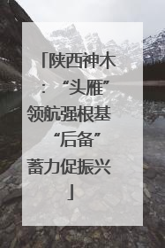 陕西神木：“头雁”领航强根基 “后备”蓄力促振兴