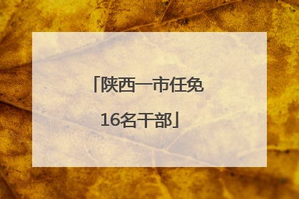 陕西一市任免16名干部