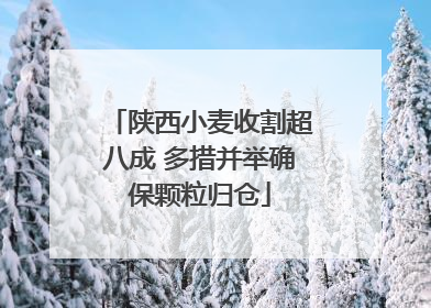 陕西小麦收割超八成 多措并举确保颗粒归仓