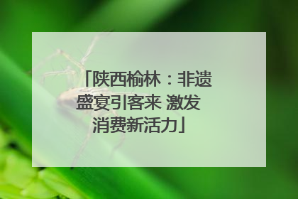 陕西榆林：非遗盛宴引客来 激发消费新活力