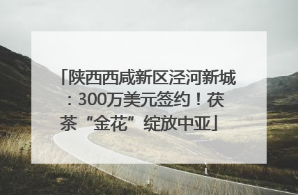 陕西西咸新区泾河新城：300万美元签约！茯茶“金花”绽放中亚