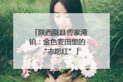 陕西陇县曹家湾镇：金色麦田里的“志愿红”
