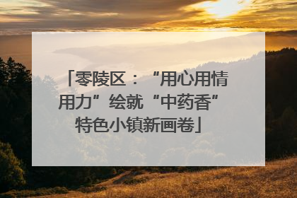 零陵区：“用心用情用力”绘就“中药香”特色小镇新画卷