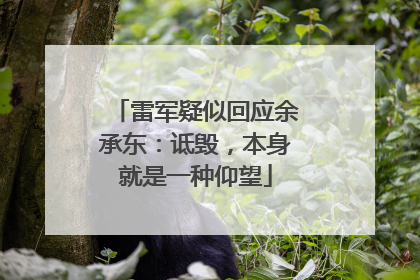 雷军疑似回应余承东：诋毁，本身就是一种仰望