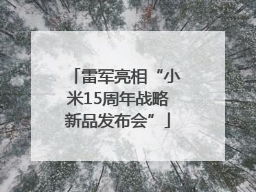 雷军亮相“小米15周年战略新品发布会”