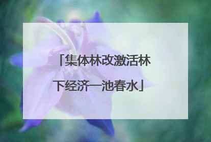 集体林改激活林下经济一池春水