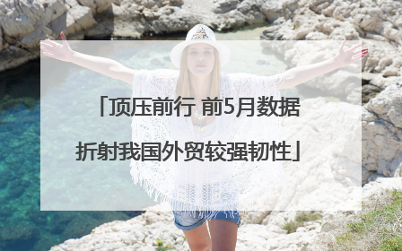 顶压前行 前5月数据折射我国外贸较强韧性