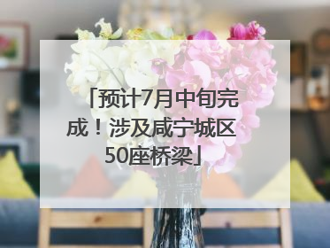 预计7月中旬完成！涉及咸宁城区50座桥梁
