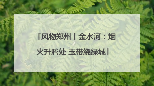 风物郑州丨金水河：烟火升腾处 玉带绕绿城