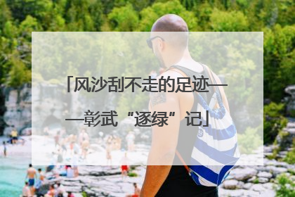 风沙刮不走的足迹——彰武“逐绿”记
