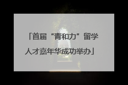 首届“青和力”留学人才嘉年华成功举办