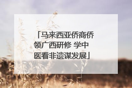 马来西亚侨商侨领广西研修 学中医看非遗谋发展