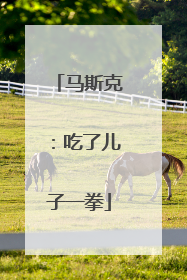 马斯克：吃了儿子一拳