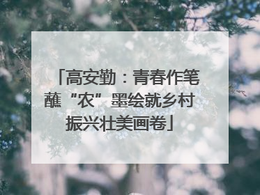 高安勤：青春作笔蘸“农”墨绘就乡村振兴壮美画卷