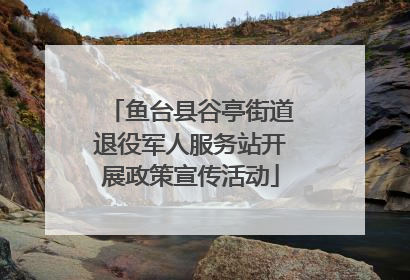 鱼台县谷亭街道退役军人服务站开展政策宣传活动