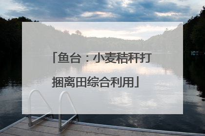 鱼台：小麦秸秆打捆离田综合利用