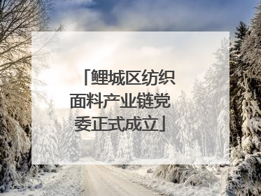 鲤城区纺织面料产业链党委正式成立
