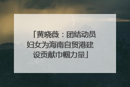 黄晓薇：团结动员妇女为海南自贸港建设贡献巾帼力量