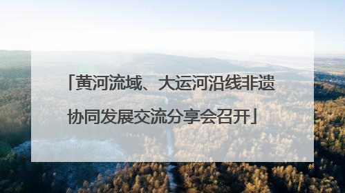 黄河流域、大运河沿线非遗协同发展交流分享会召开