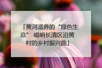 黄河滋养的“绿色生意” 唱响长清区沿黄村的乡村振兴曲