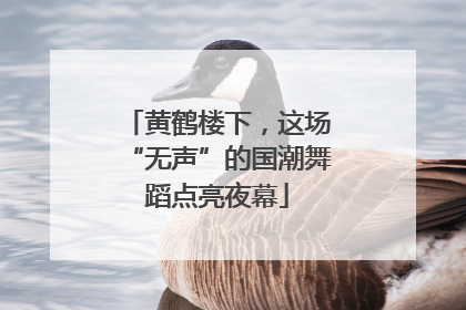 黄鹤楼下，这场“无声”的国潮舞蹈点亮夜幕