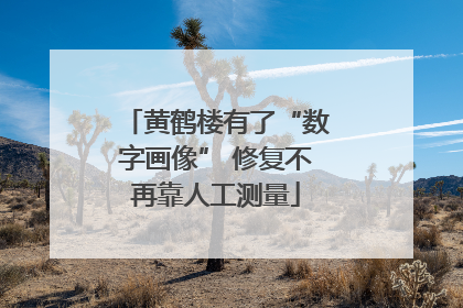 黄鹤楼有了“数字画像” 修复不再靠人工测量