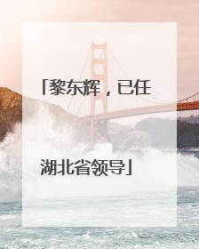 黎东辉，已任湖北省领导