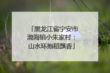 黑龙江省宁安市渤海镇小朱家村：山水环抱稻飘香
