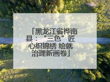 黑龙江省桦南县：“三色”匠心织锦绣 绘就治理新画卷