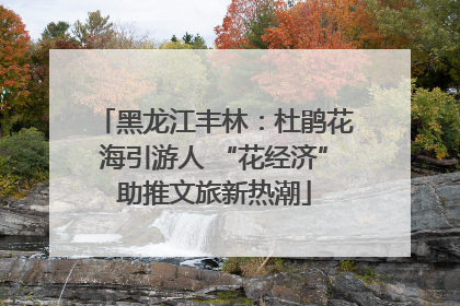 黑龙江丰林：杜鹃花海引游人 “花经济”助推文旅新热潮